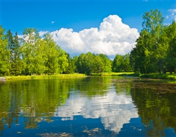 Pavlovsk Palace